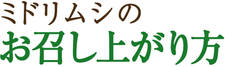 ミドリムシのお召し上がり方