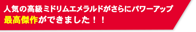 先着500名様限定 ! あのミドリムシサプリが無料で試せるキャンペーン開催 !!